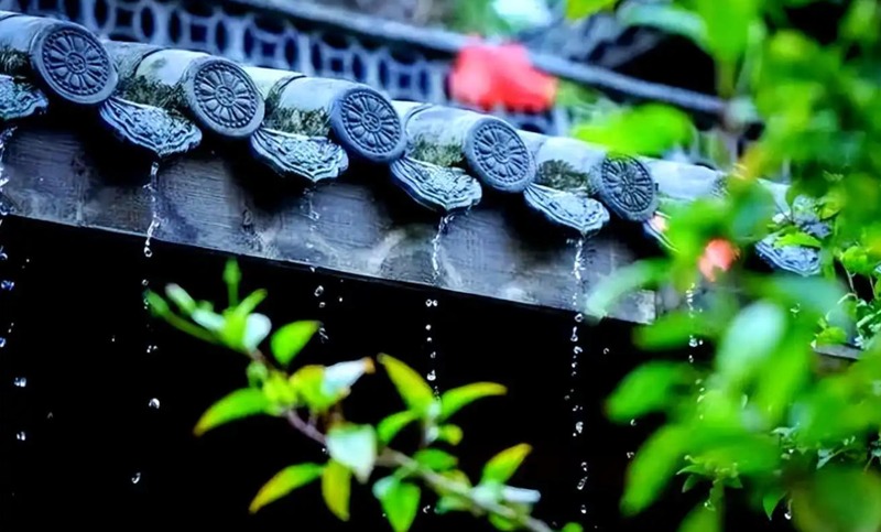 春雨