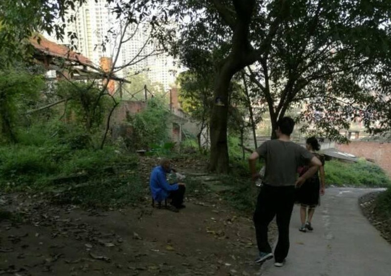 树下的老兵