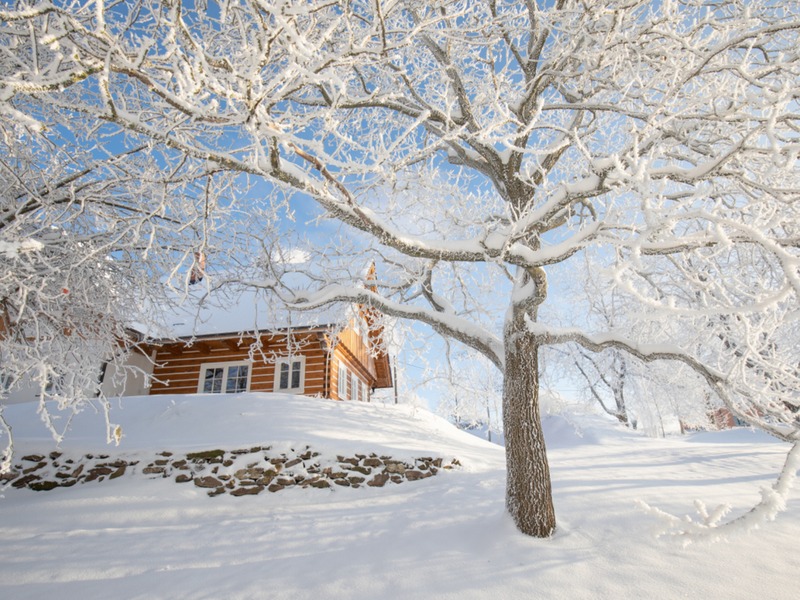 snow.png
